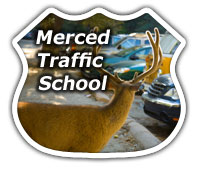 Merced Traffic School