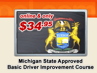 Driver improvement class online